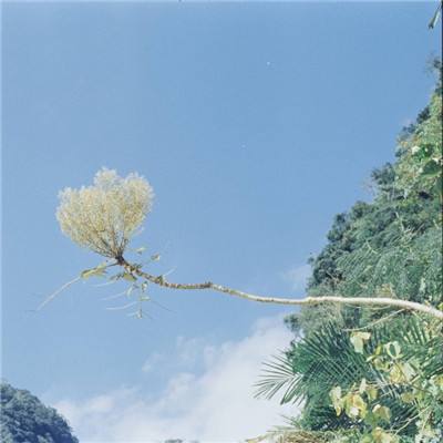 乐彩网app官方正版下载