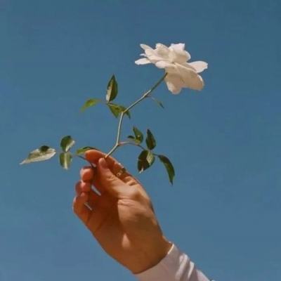 beat365下载唯一官方网