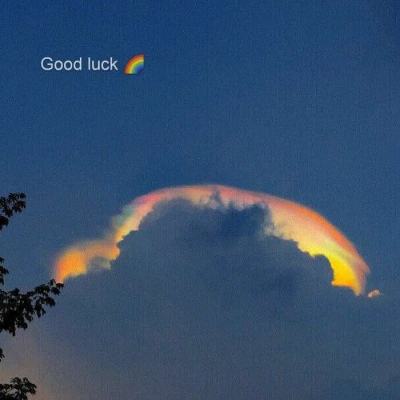 麻将胡了app手机app下